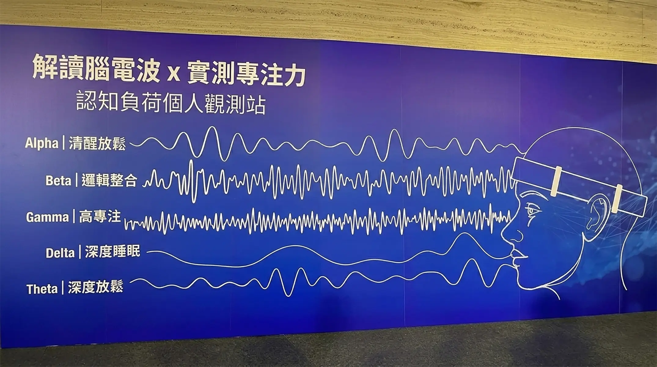 解讀腦電波Ｘ實測專注力