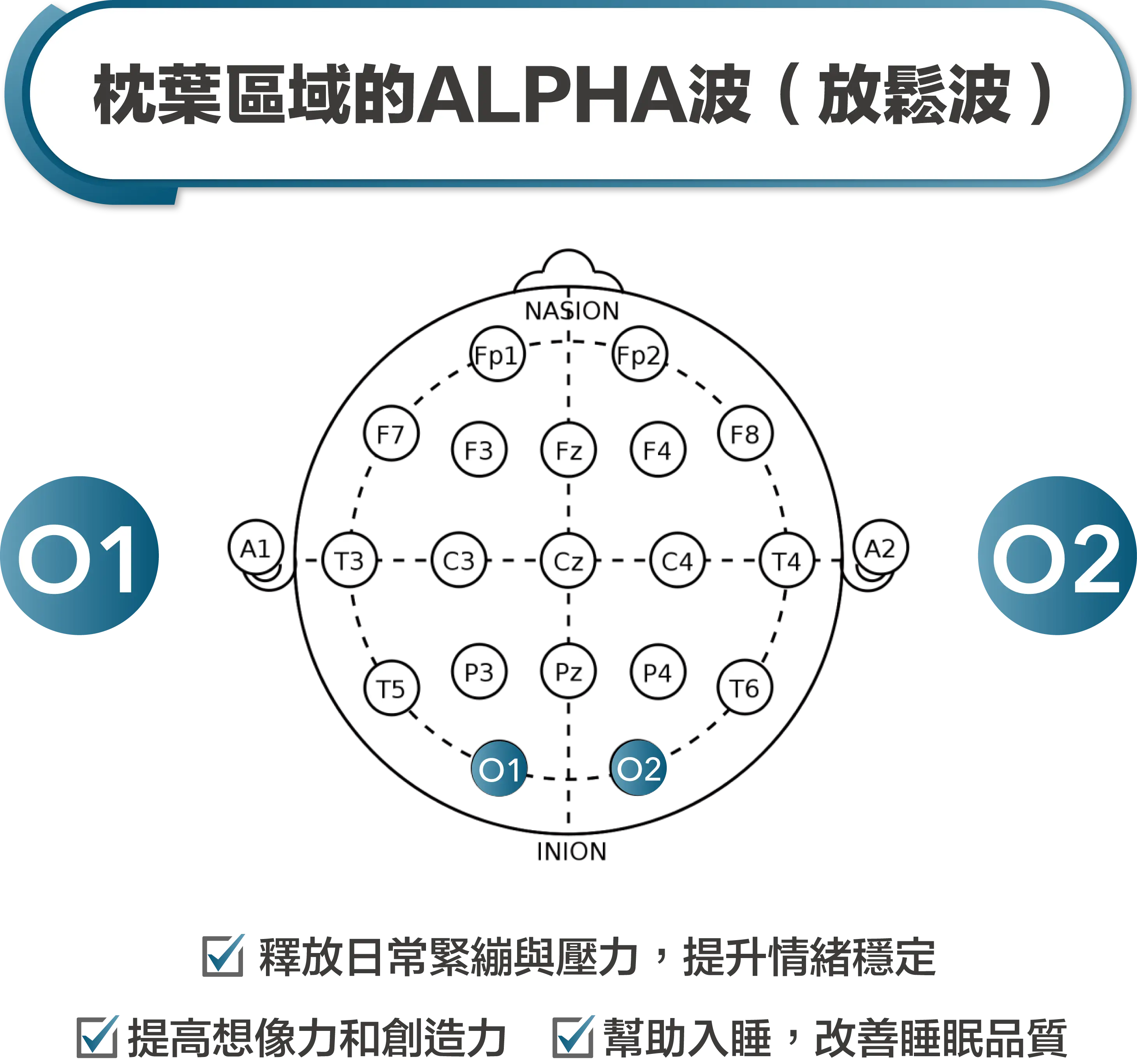 枕葉區域的alpha波